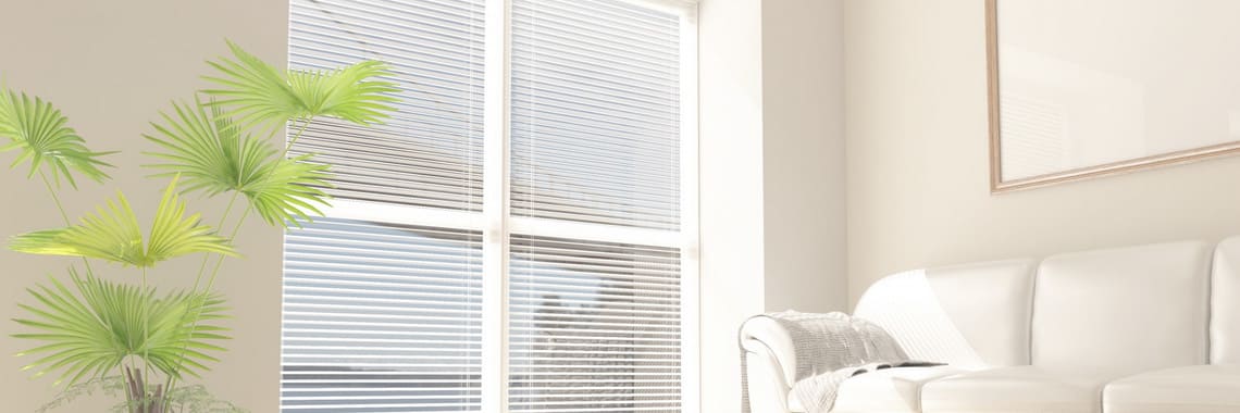 blinds